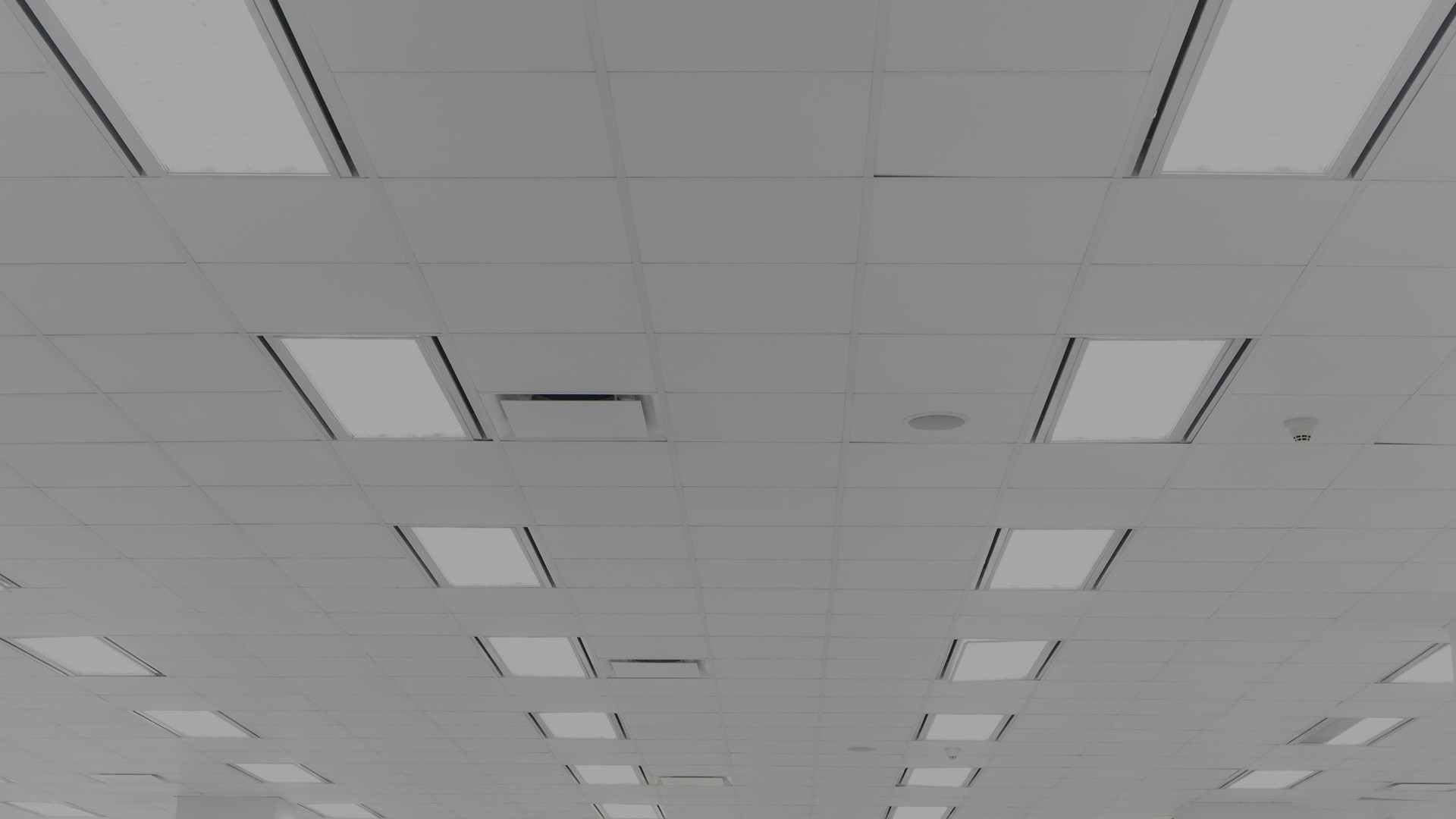 Next Level Plastering 